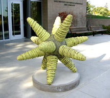 (Photo - New sculpture of star)