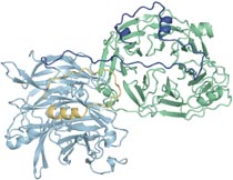 (Image - Sro7p protein)