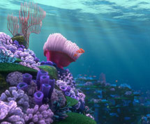 (Image of reef)