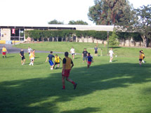 (Photo - soccer on the SLAC Green)