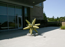 (Photo - star sculpture on Kavli Building patio)