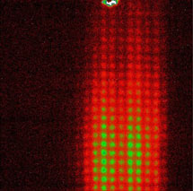 (Image - diffraction pattern)
