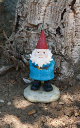 (Photo - where's the gnome?)