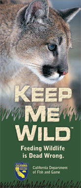 (Image - brochure cover, mountain lion safety)